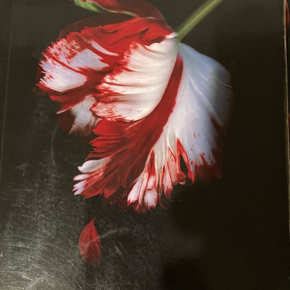 2 Book Set New Moon and Eclipse by Stephanie Meyer